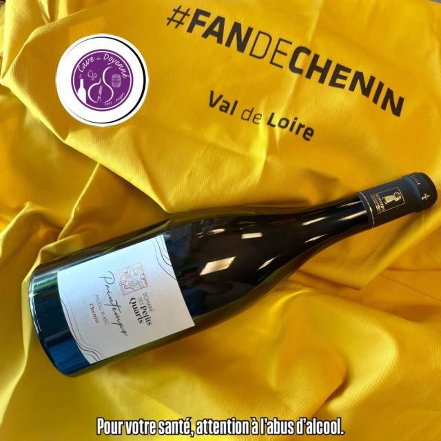 Zoom et promo (-15%) 😅 sur les 2 #cheninblanc de la semaine ! 
(⚠️Attention valable jusqu’à demain soir⚠️)
Voir conditions en magasin.

D’un coté le Ch’nin by @domainecady , un blanc sec, léger et fruité parfait pour vos pique-niques 🧺 à l’ombre 🥵
Et de l’autre la cuvée Printemps du @domainedespetitsquarts , qui s’accommode très bien en ce début d’été caniculaire grâce à ses notes florales et sa finale minérale, voir saline 😋

Le Chenin, le seul cépage qui sait être sec, tendre, pétillant, moelleux, voire liquoreux… et toujours canon. @fandechenin 

Un vrai caméléon dans ta bouteille ! 🍾

#TeamChenin #fandechenin #valdeloire #cheninfanweek