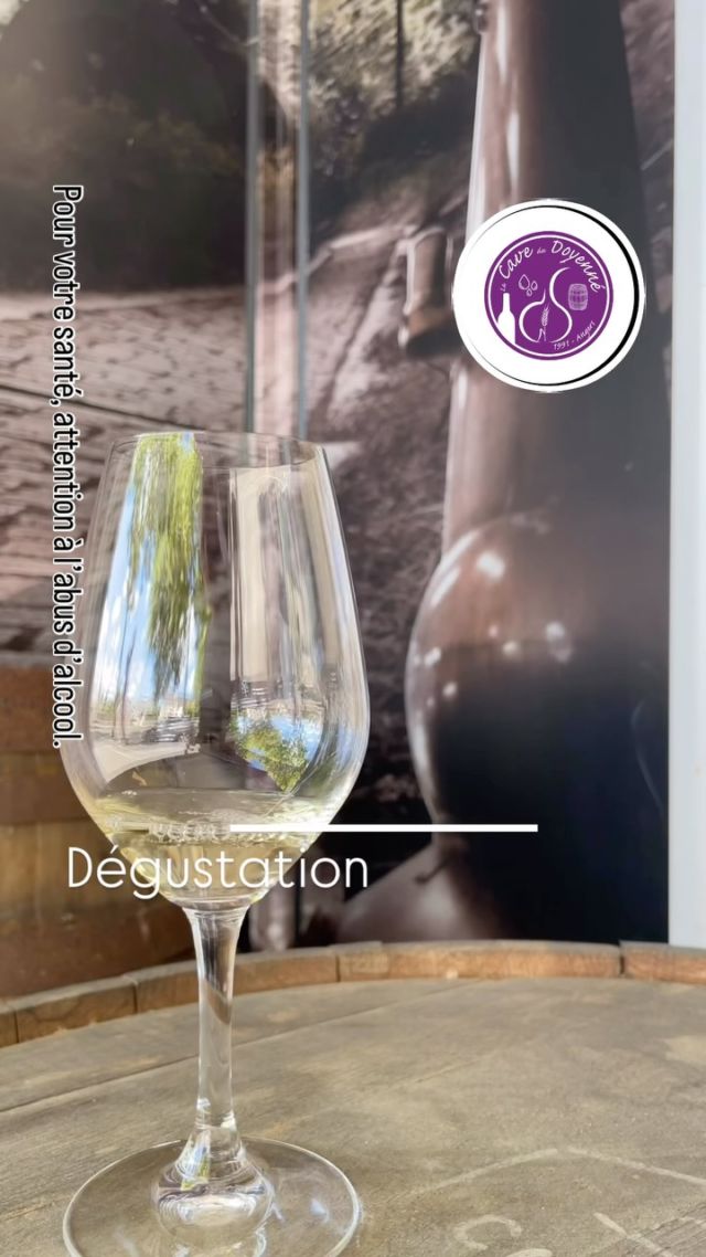 Et toi ? A quel point tu as besoin de la Croix Picot 2022 du @domainefl pour cet été ??? 😁

#savennieres #fandechenin #fresh #winelover 
#caviste #angers #cavedudoyenne #depuis1991 
#labusdalcoolestdangereuxpourlasanteàconsommeravecmodération